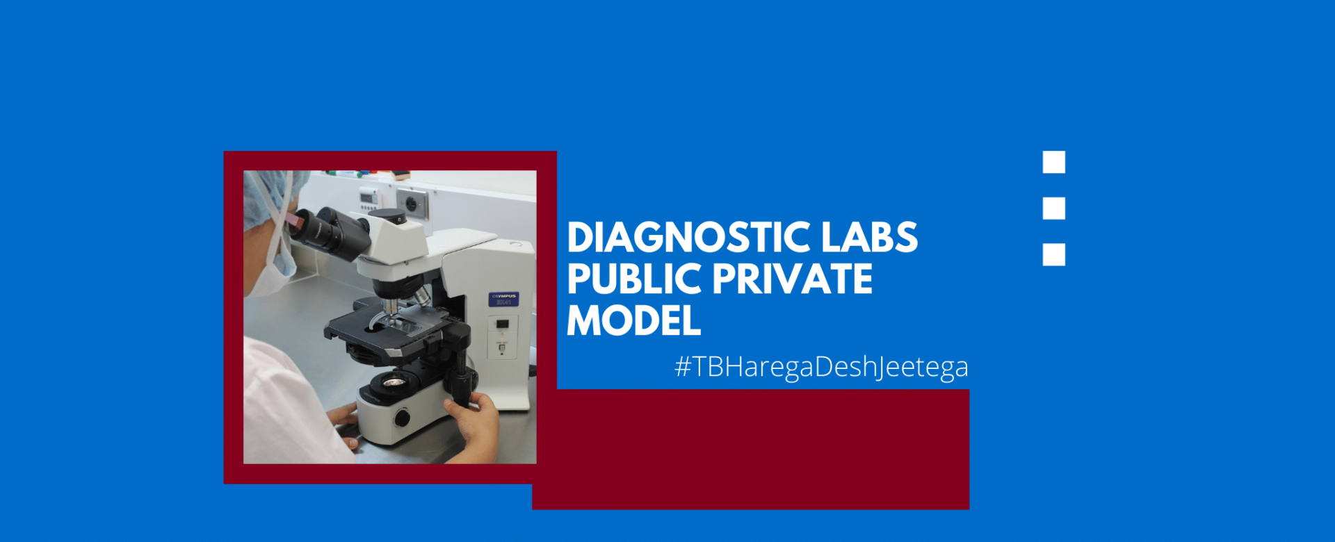 Diagnostic Labs Public Private Model